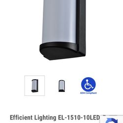 Outdoor/ Exterior Wall Mount Light Fixture