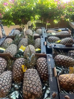 Pineapple 🍍 $10 Box only to
