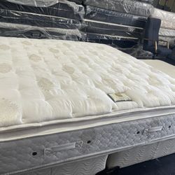 King Mattress Steransfoster Set 🦖