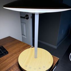 Desk LED Lamp 