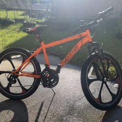 Mongoose Mountain Bike 