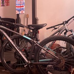  Specialized Bikes (Offers)