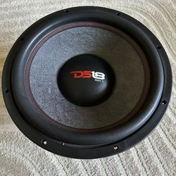 15” DS18 Subwoofer 