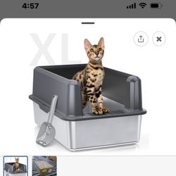 Litter Box For Cat