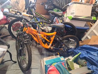 Three Biciclets Two For Youth &  One Adult