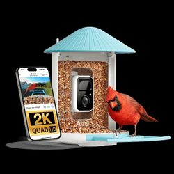Birdfy Feeder - AI-Powered Smart Bird Feeder with Camera
