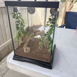 Reptile Terrarium Habitat Bundle For Gekos, Chameleons, Frogs, Spiders, Isopods And All Other Small Amphibians Or Reptiles 