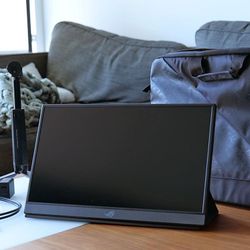 Asus ROG Strix XG17AHPE 17" Class Full HD Gaming LCD Monitor - 16:9 - Black - 17.3" Viewable - In-plane Switching (IPS) Technology - XG17AHPE