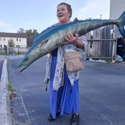 Fake Fish