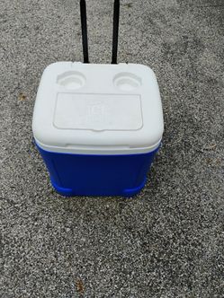 Large 60 plus igloo cooler