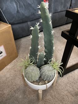 Faux Cacti Arrangement