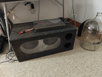 ESX Dual Subwoofer w/ 480W Amp