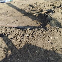 Truck Load Of Silt Soil