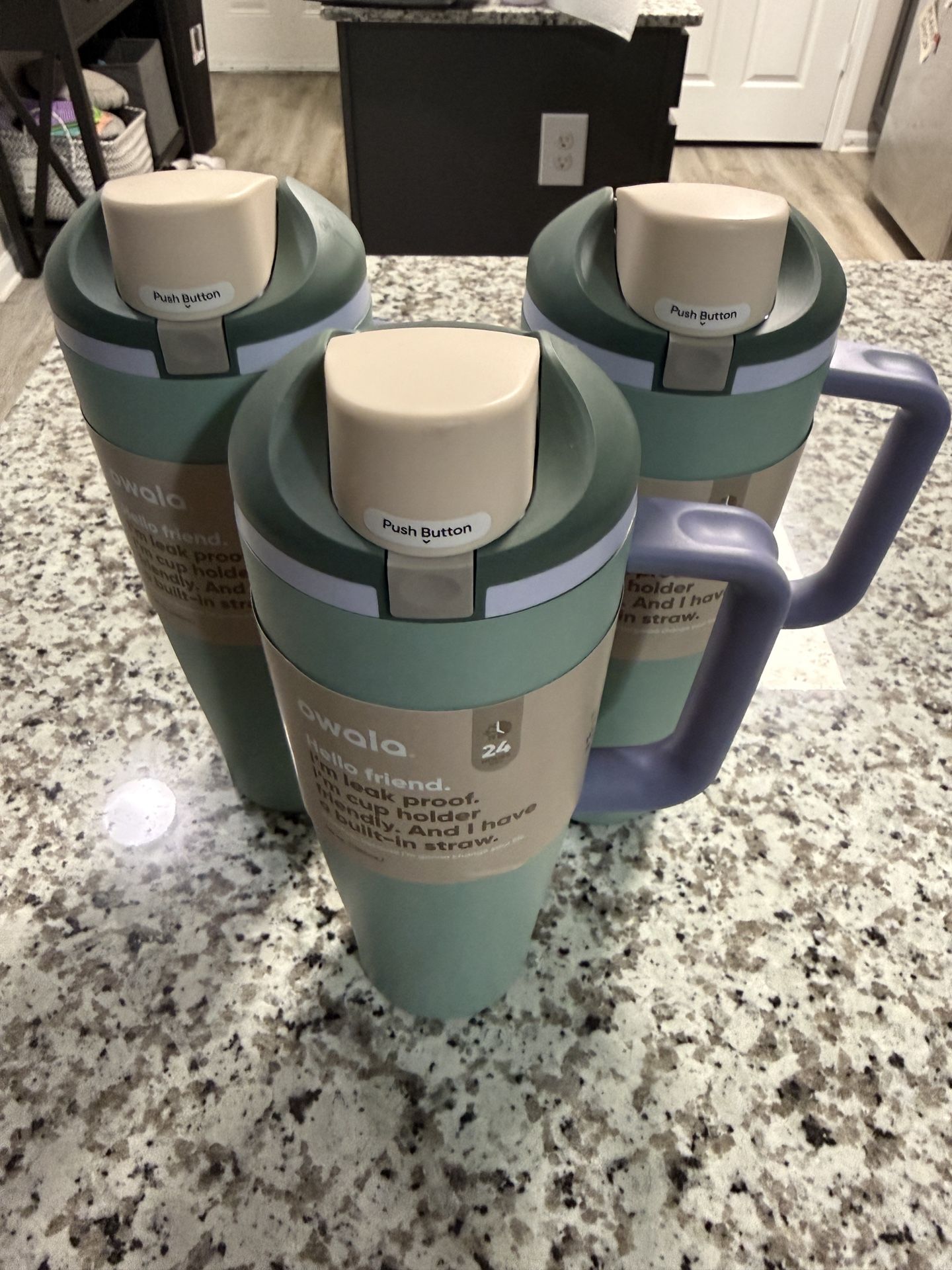 Owala 40oz FreeSip Tumbler Stainless steel (Misty Meadow)