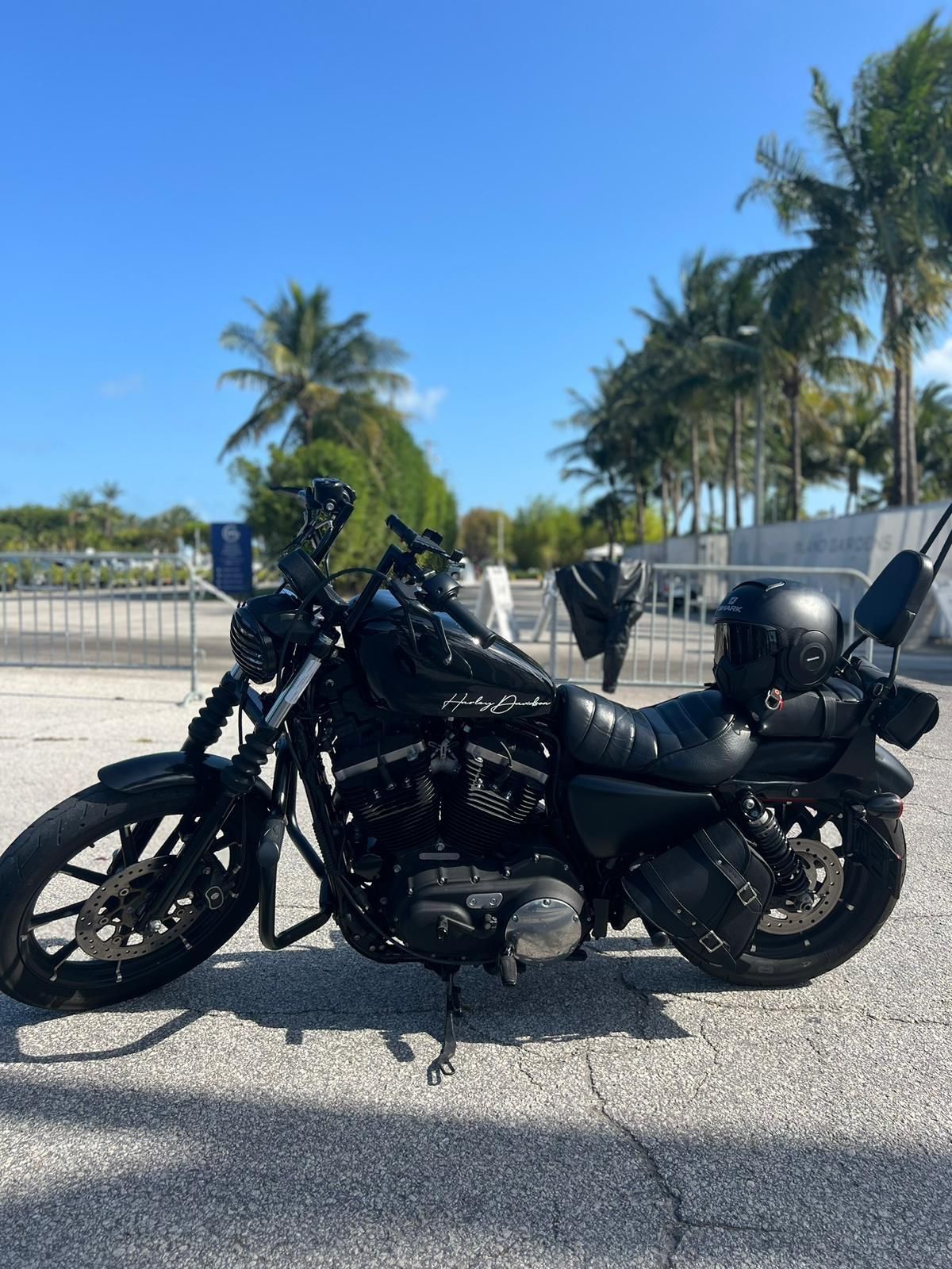 Harley Davidson 2020 XL883N IRON ! Price Firm