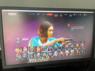 Gaming Monitor