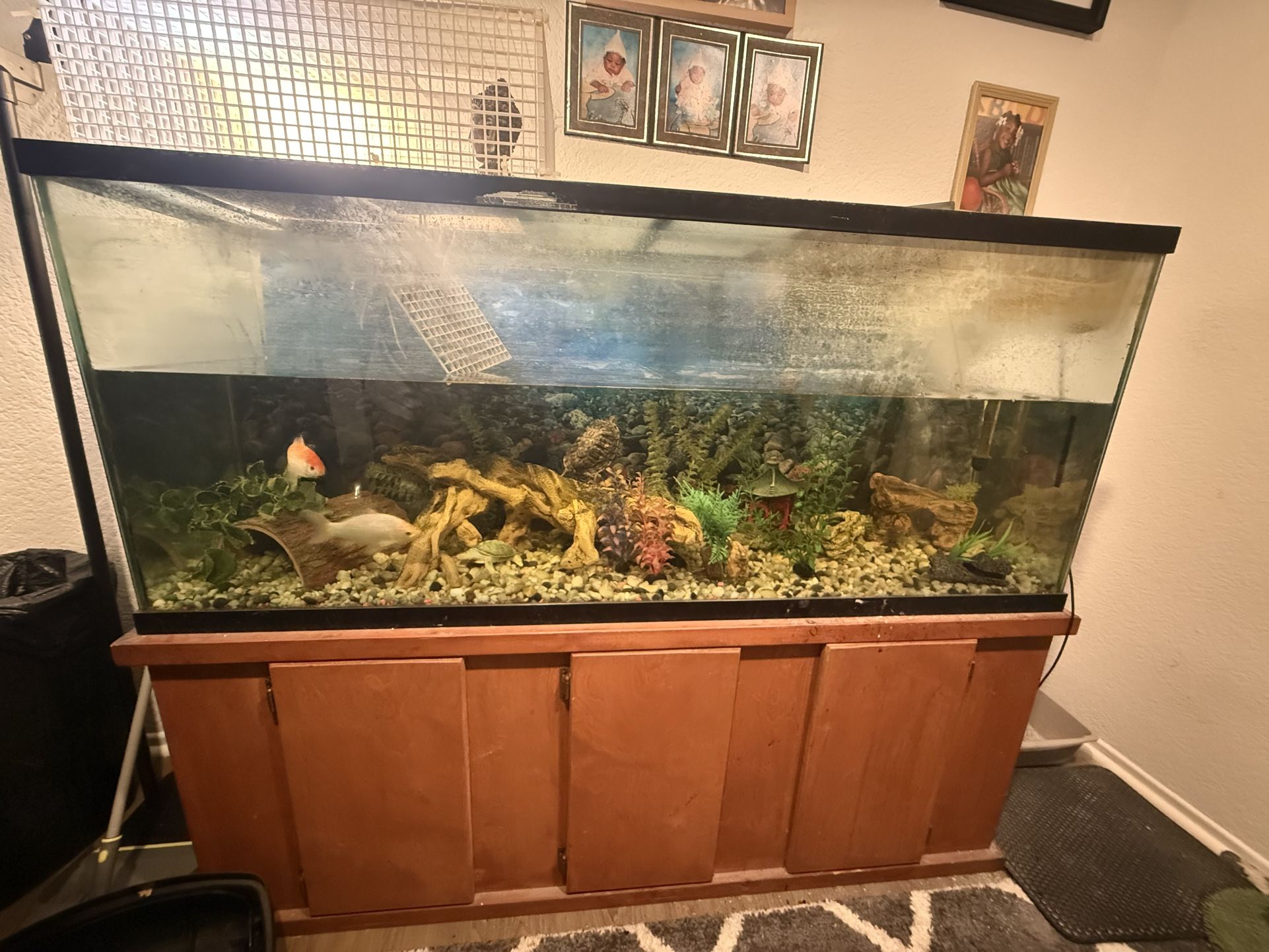 5’long 16”wide 24” tall tank used + Stand + Decorations