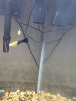 Aquarium
