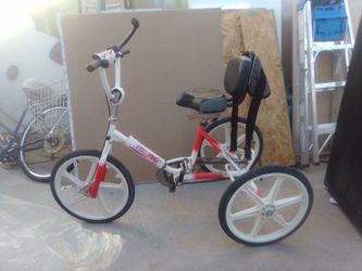 Raleigh Vektor Bike Custom For Special Needs