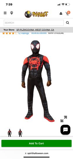 Spider-Man Halloween Costume 