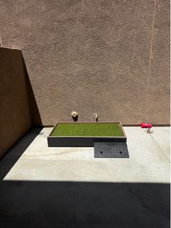 Dog Porch Potty