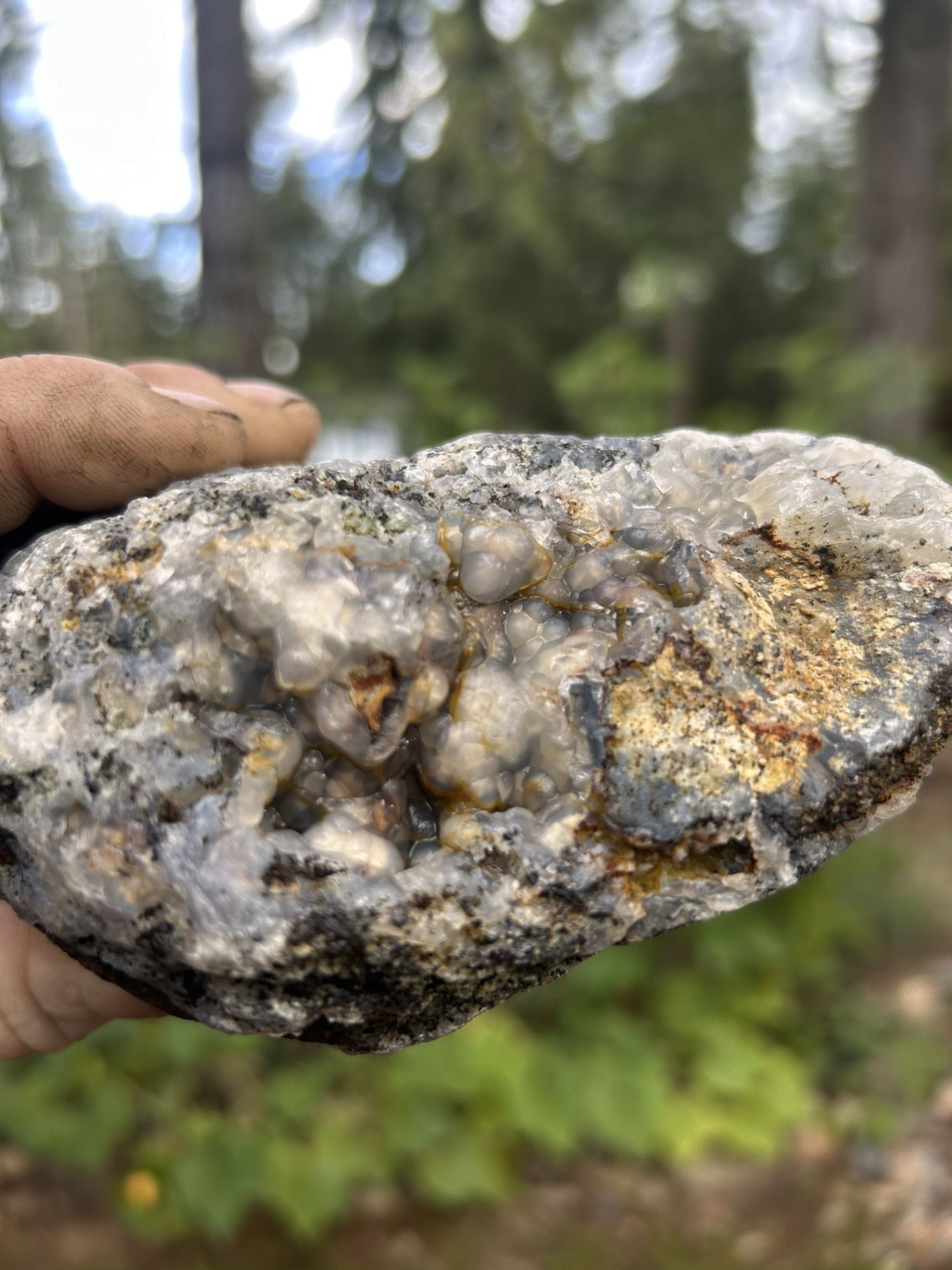 Large Multi Colored Botryoidal Agate