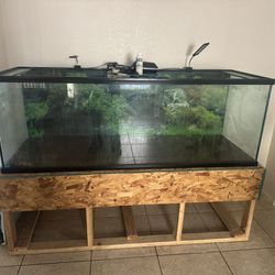 200gallon fish tank 