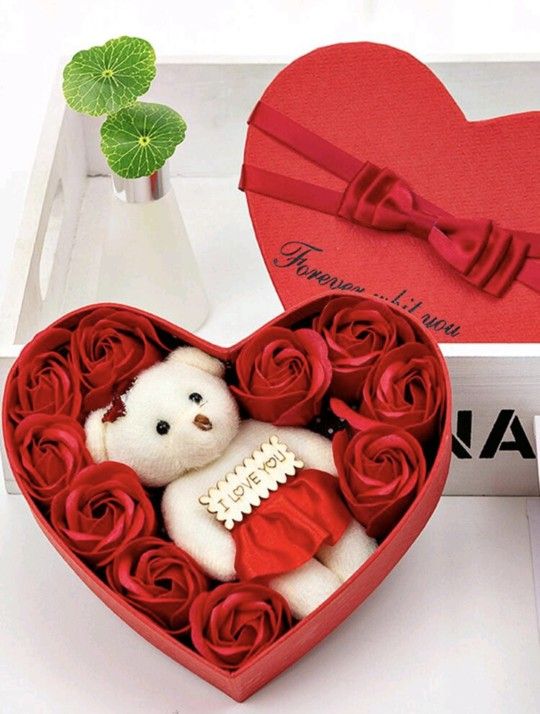 Box Roses W Teddy Bear