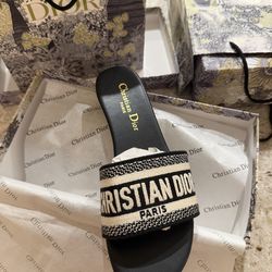 Dway slides Christian Dior 🔥