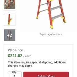 3 Foot Platform Ladder