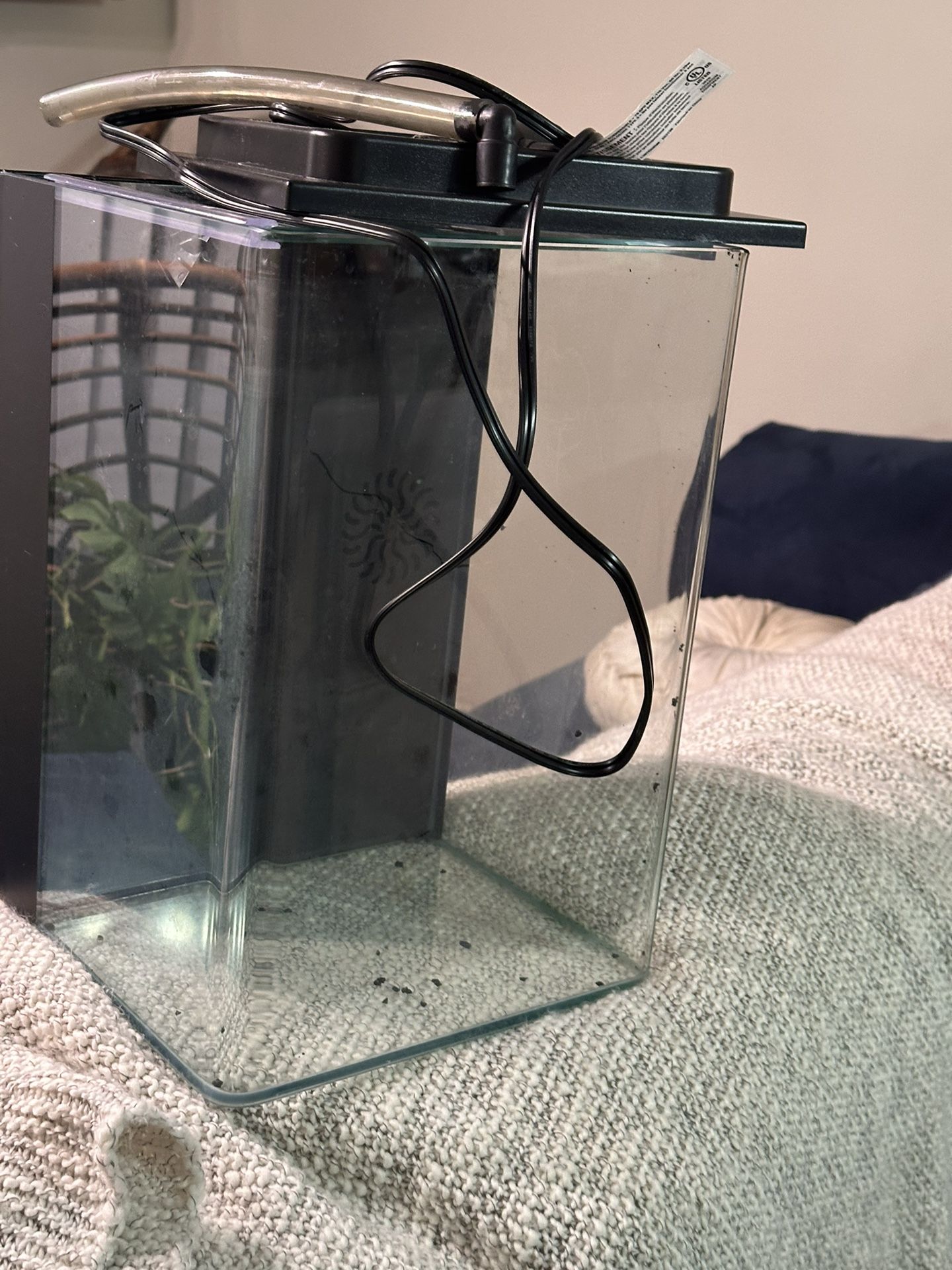 Fish Tank (5 Gallon) 