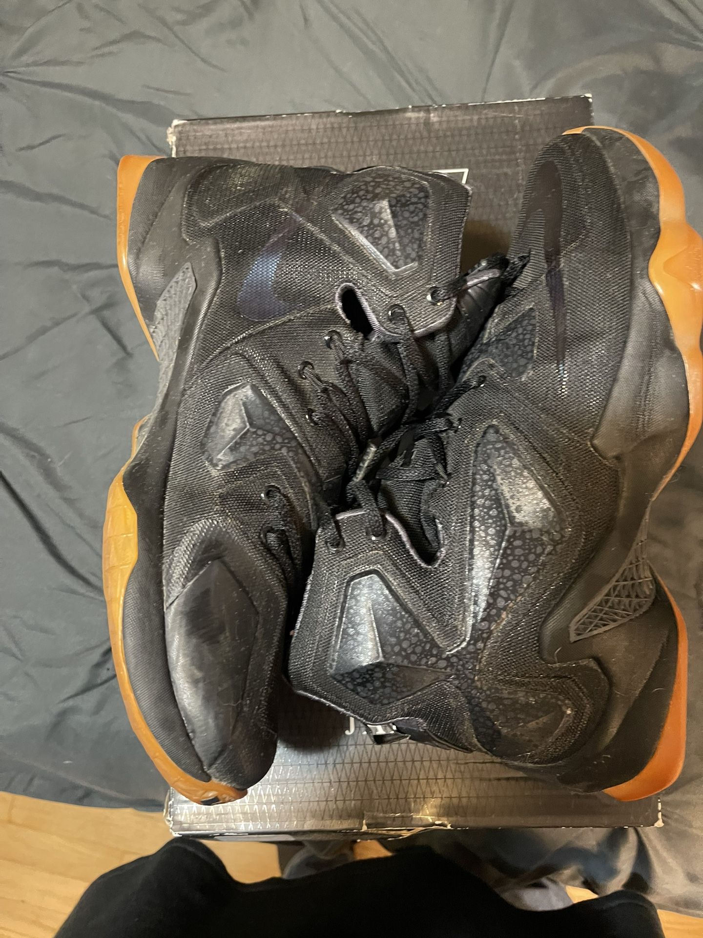 LeBron 13 Black lion