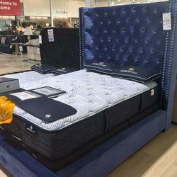 OM• $38 Initial • Brand New Blue Bed Frame 