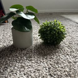 Fake plant and circular ball plant