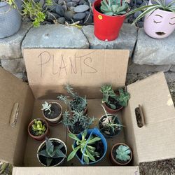 Yard Sale - Pantages Cir. Rancho Cordova 95670