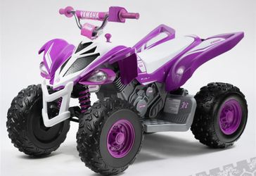 Yamaha Raptors 12V
