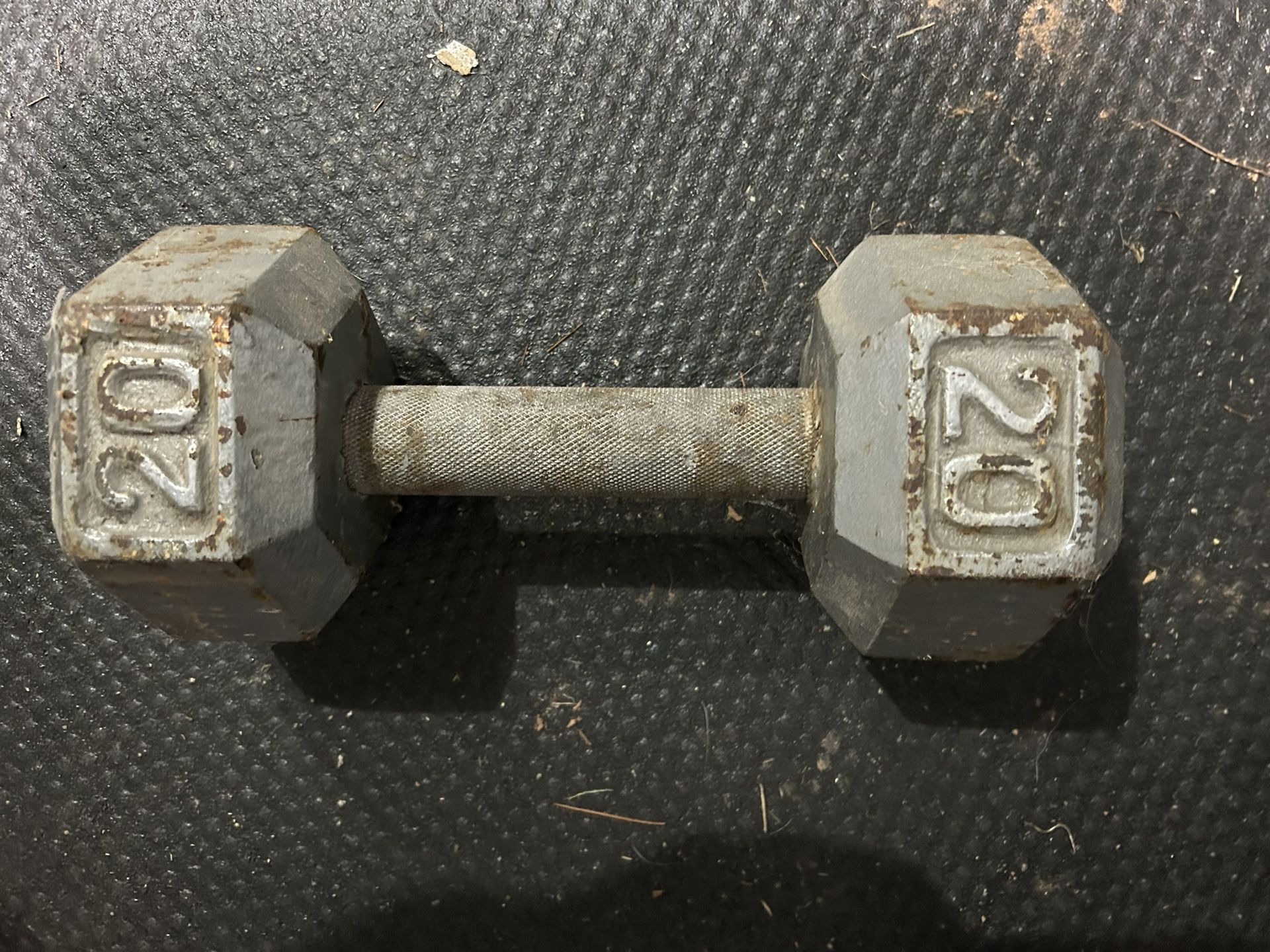 20 Pound Dumbell