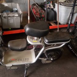 Electric Bike