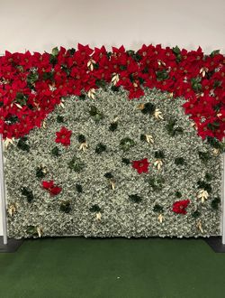 RENT- Poinsettia Flower Wall