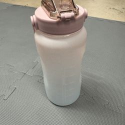 Daily Intake Water Cup