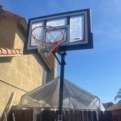 Lifetime Adjustable Portable Basketball Hoop