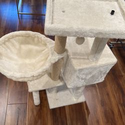 Cat House 