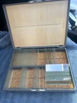 Micro slides vintage ####