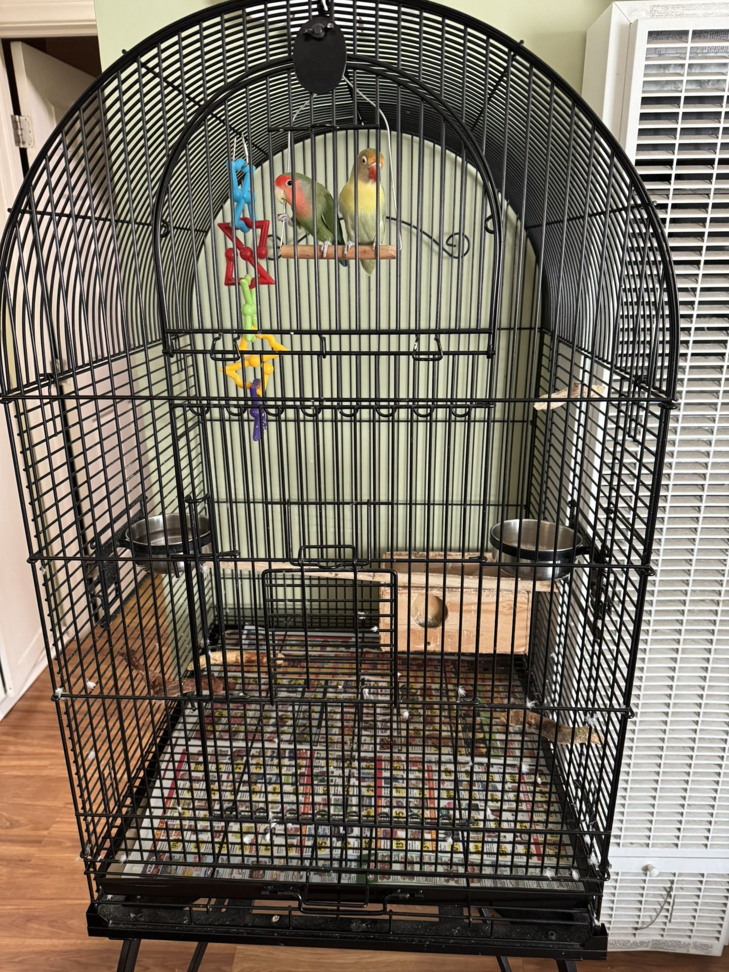 Bird Cage