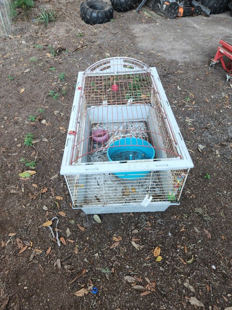 Rabbit Cage