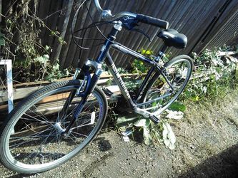 Schwinn bike