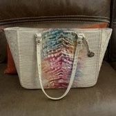 Beautiful Brahmin With Dustbag