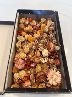 Dried flowers box full