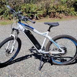 Electric mountain bike