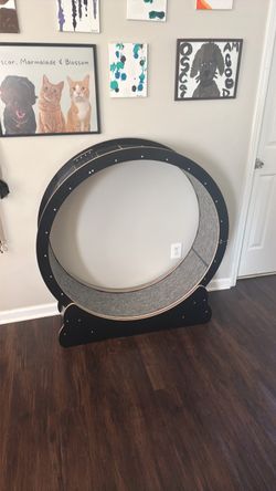 Large Cat Exercise Wheel
